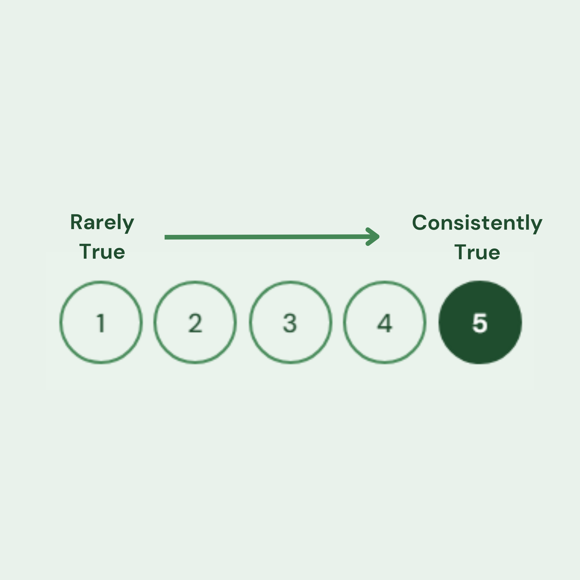 Rating scale from Rarely True to Consistently True